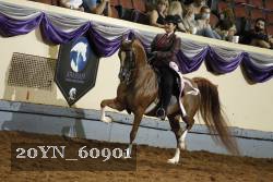 20YN_60901 thumbnail
