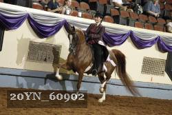20YN_60902 thumbnail