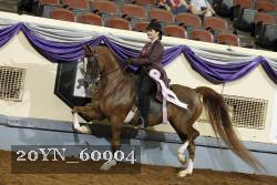 20YN_60904 thumbnail