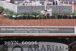 20YN_60906 thumbnail