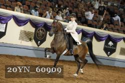 20YN_60909 thumbnail