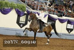 20YN_60910 thumbnail