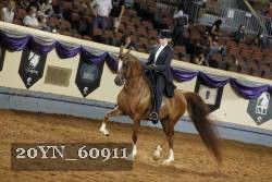 20YN_60911 thumbnail