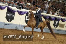 20YN_60912 thumbnail