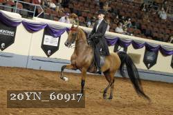 20YN_60917 thumbnail