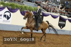 20YN_60918 thumbnail
