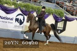 20YN_60920 thumbnail