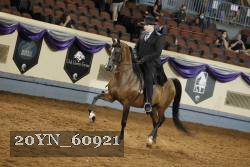 20YN_60921 thumbnail