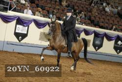 20YN_60922 thumbnail