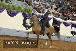 20YN_60927 thumbnail