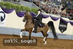 20YN_60928 thumbnail