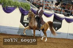 20YN_60930 thumbnail