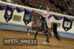 20YN_60933 thumbnail