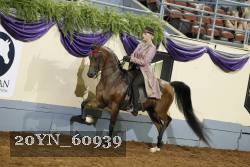 20YN_60939 thumbnail