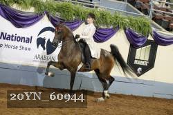 20YN_60944 thumbnail