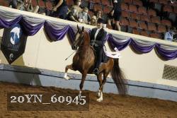20YN_60945 thumbnail