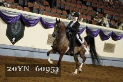 20YN_60951 thumbnail