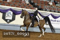 20YN_60953 thumbnail