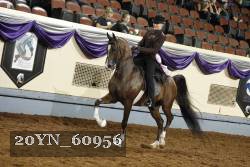 20YN_60956 thumbnail