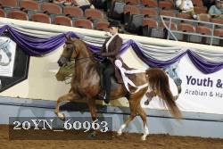 20YN_60963 thumbnail