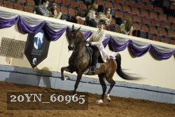 20YN_60965 thumbnail