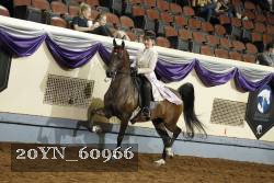 20YN_60966 thumbnail