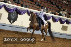 20YN_60969 thumbnail
