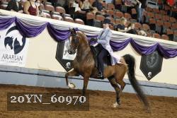20YN_60970 thumbnail
