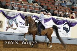 20YN_60972 thumbnail