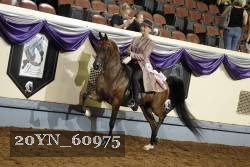 20YN_60975 thumbnail