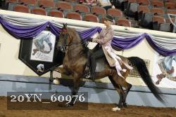 20YN_60976 thumbnail