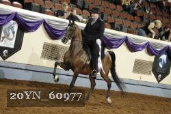 20YN_60977 thumbnail
