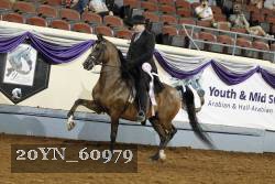 20YN_60979 thumbnail