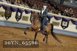 20YN_65586 thumbnail
