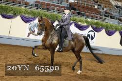 20YN_65590 thumbnail
