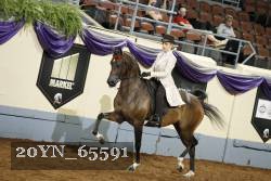 20YN_65591 thumbnail