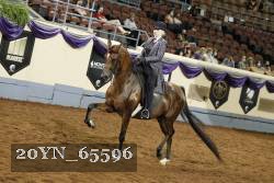 20YN_65596 thumbnail