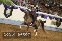 20YN_65597 thumbnail