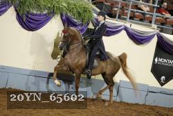 20YN_65602 thumbnail
