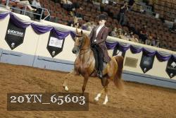 20YN_65603 thumbnail