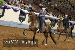 20YN_65605 thumbnail