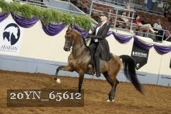20YN_65612 thumbnail