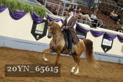 20YN_65615 thumbnail