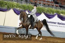 20YN_65617 thumbnail