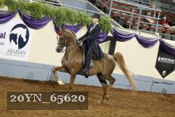 20YN_65620 thumbnail