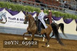 20YN_65622 thumbnail
