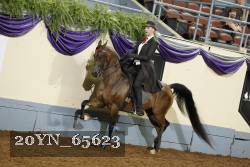 20YN_65623 thumbnail