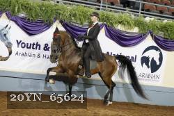 20YN_65624 thumbnail