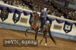 20YN_65625 thumbnail