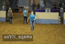 20YN_65680 thumbnail